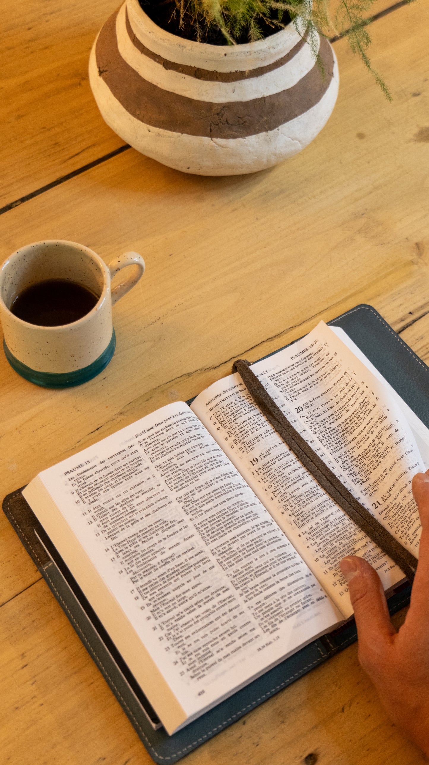 Couverture de Bible en cuir - Compagnon